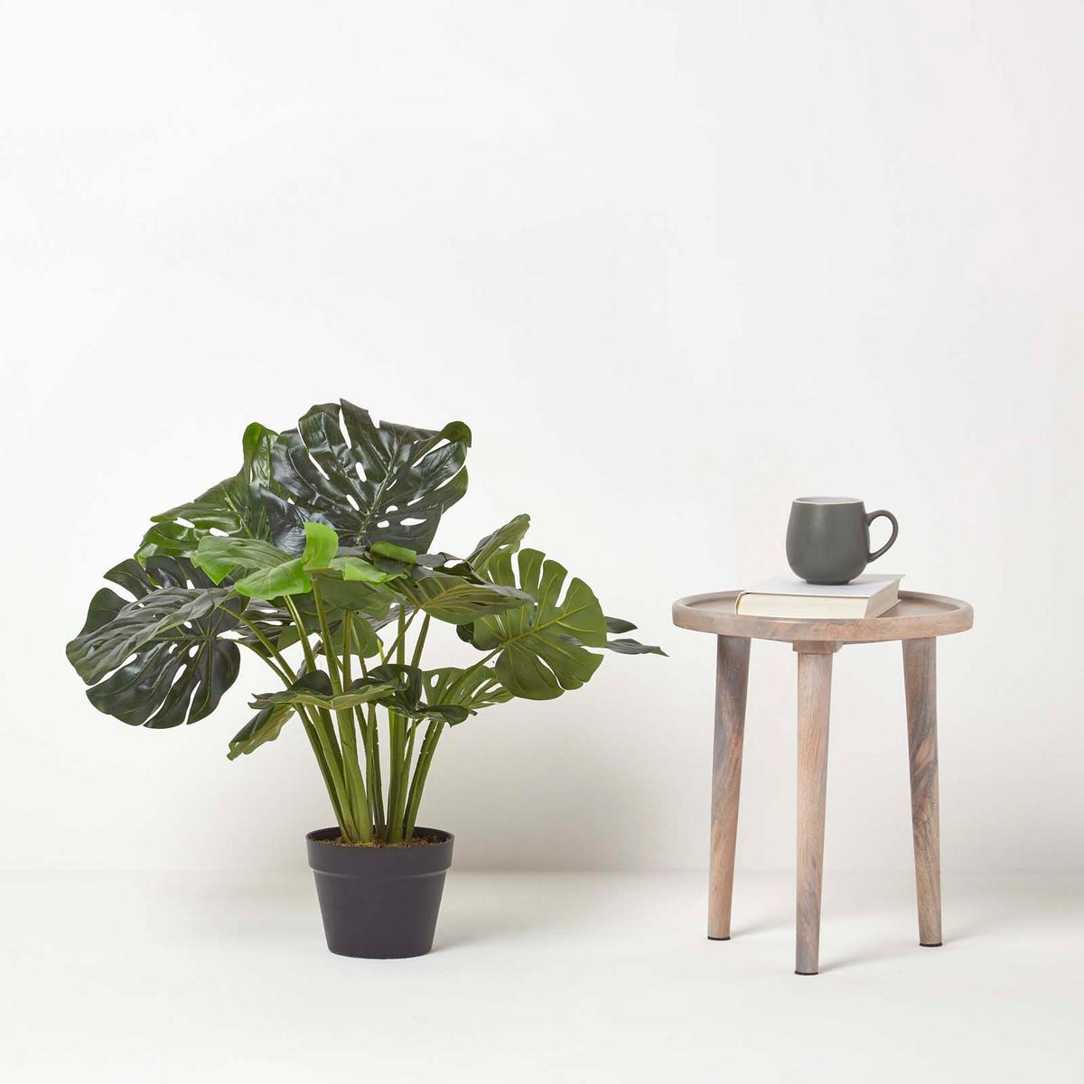 KUNSTPFLANZE Monstera, 60 cm - Grün, Kunststoff (60cm) - Homescapes