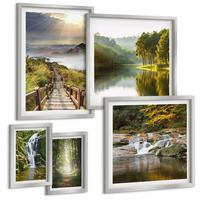 BILDER SET 5er Set - 50x50 cm & 20x30 cm & 40x60 cm Silberner Rahmen - Grüne Blätter von eleganten Sukkulenten - Silberfarben, Kunststoff (40/60cm) - TULUP