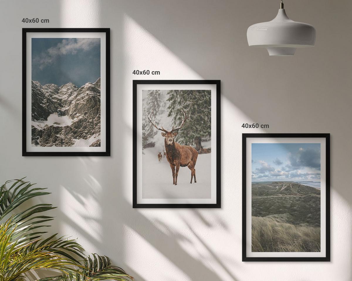 BILDER SET 3er Set - 40x60 cm Schwarzer Rahmen - Berge, Schnee, Hirsche, Waldlandschaft - Schwarz, Kunststoff (40/60cm) - TULUP