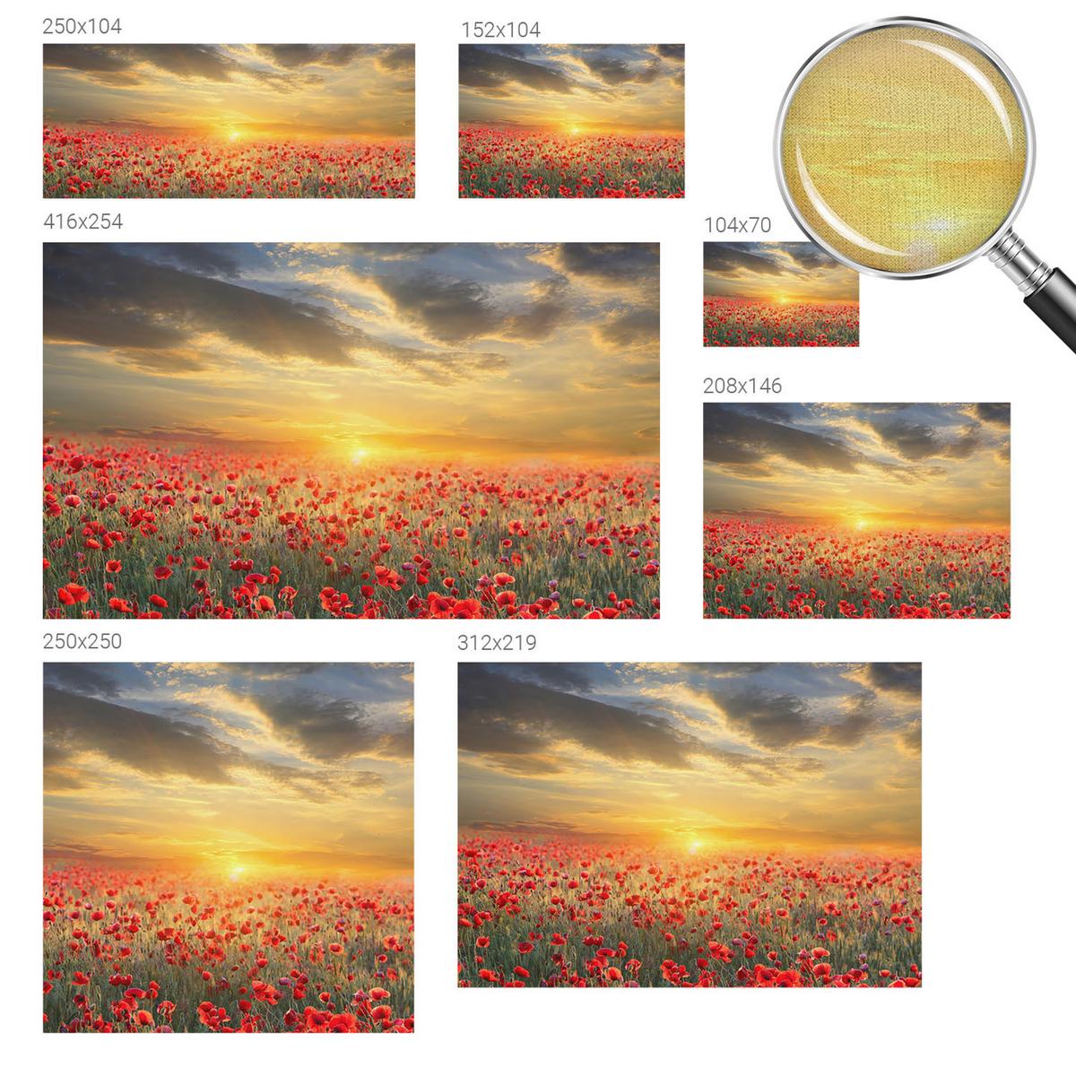 FOTOTAPETE 152x104 cm - Mohnfeld - Rot, Textil (152/104cm) - Wallfluent