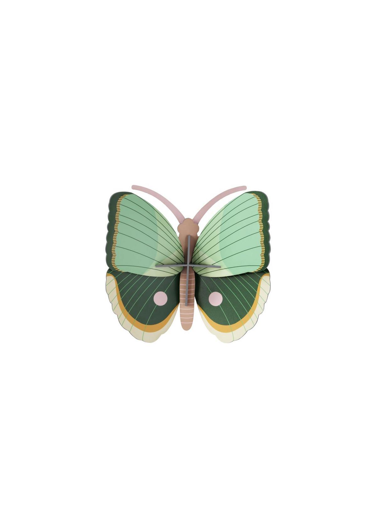 WANDDEKO Bernstein-Schildkäfer 7/27.5 cm - Multicolor, Wellpappe (7/27.5/12cm) - Studio Roof