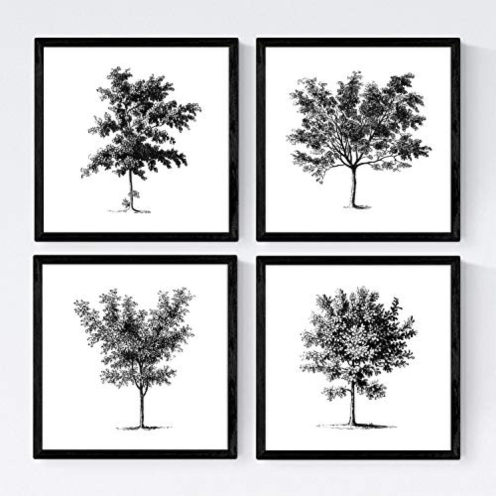 POSTER Set mit 4 Blättern der Bäume mittlerer weiß 20x20cm Schwarzer Rahmen - Schwarz, Papier (20/3cm) - Nacnic