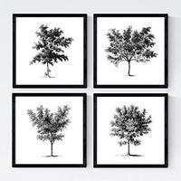 POSTER Set mit 4 Blättern der Bäume mittlerer weiß 20x20cm Schwarzer Rahmen - Schwarz, Papier (20/3cm) - Nacnic