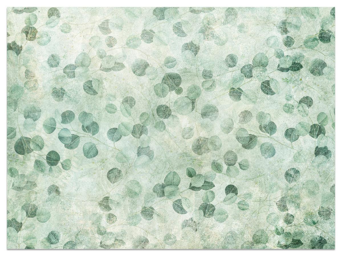 FOTOTAPETE Grüne Blätter Beton Optik Natur 250x175 - Grün, Papier (250/175cm) - Muralo