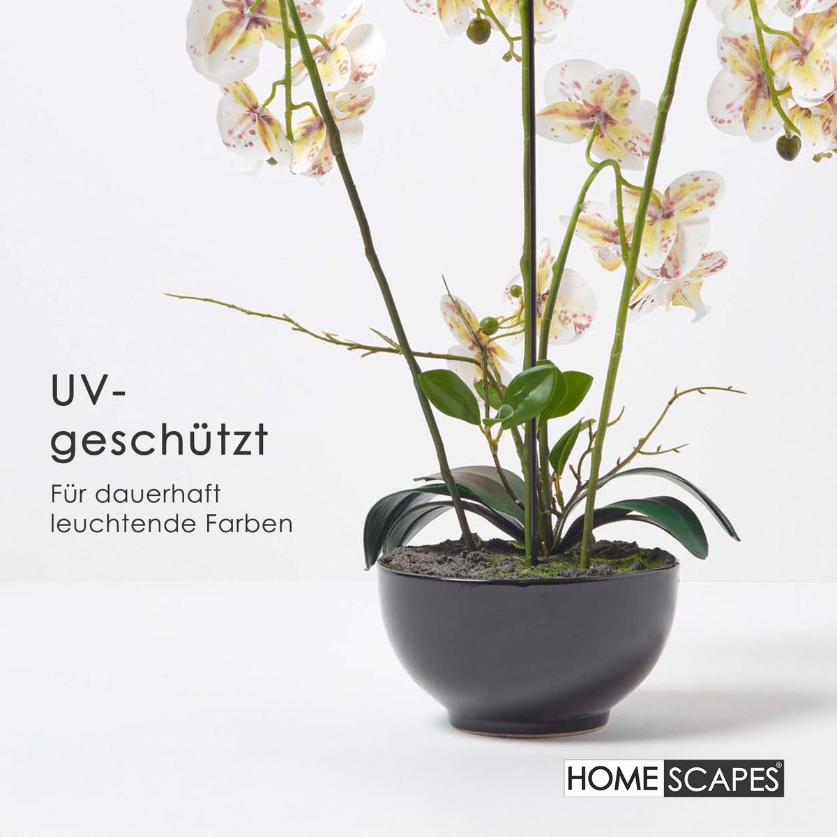 KUNSTBLUME Orchidee weiß-pink in Deko-Schale, 62 cm - Weiß, Kunststoff (62cm) - Homescapes