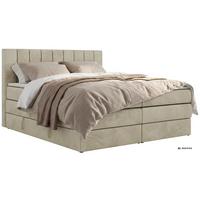 BOXSPRINGBETT ALVER KING 180/200 - Beige Velvet - Topper T25 - H4 - Beige/Schwarz, Kunststoff/Textil (180/200cm) - MKS