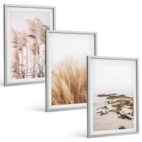 BILDER SET 3er Set - 40x60 cm Silberner Rahmen - Pampasgrasfelder und ein Boho-Strand - Silberfarben, Kunststoff (40/60cm) - TULUP