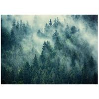 FOTOTAPETE Wald im Nebel Vliestapete 400x280 - Multicolor, Papier (400/280cm) - Wallarena