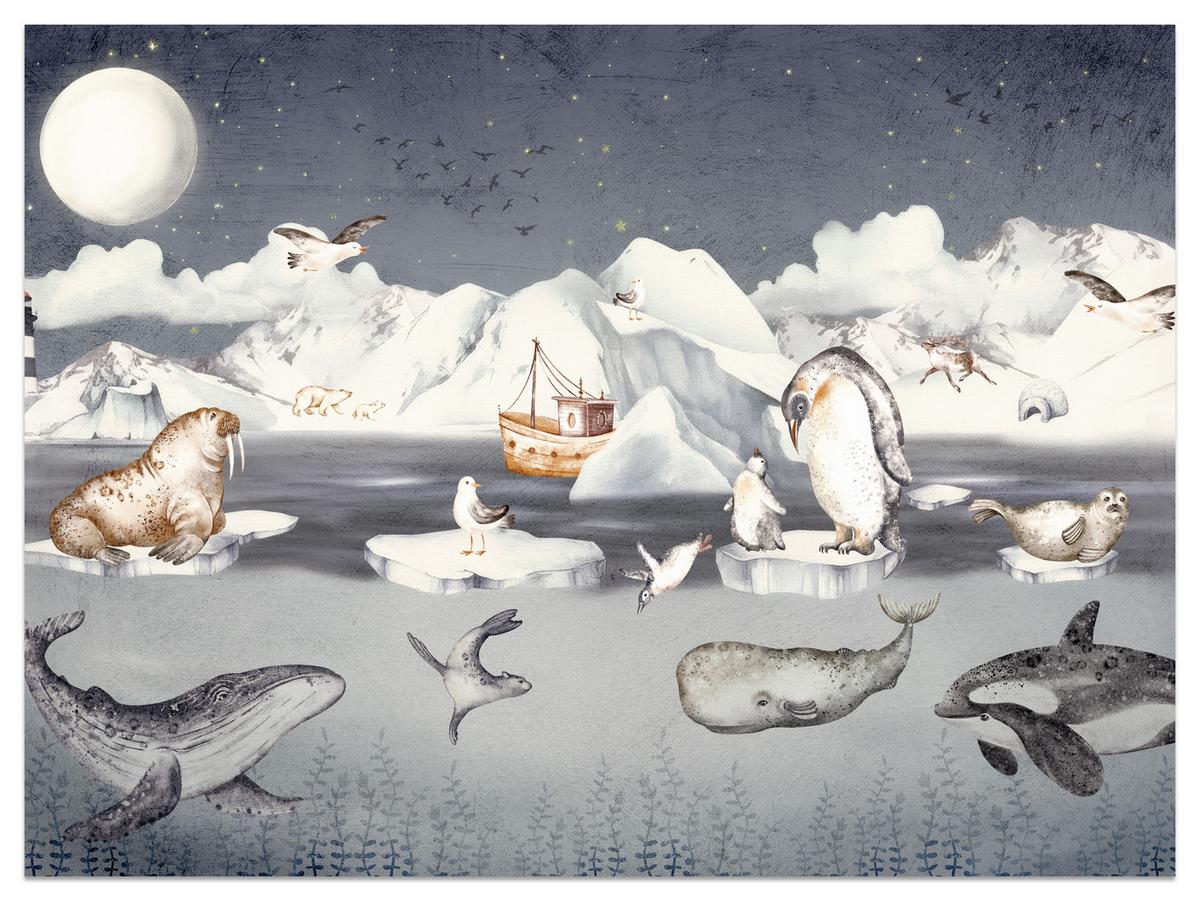 FOTOTAPETE für Kinderzimmer Arktische Tiere Pinguine Robben Mond Gebirge 500x350 - Orange/Weiß, Papier (500/350cm) - Muralo