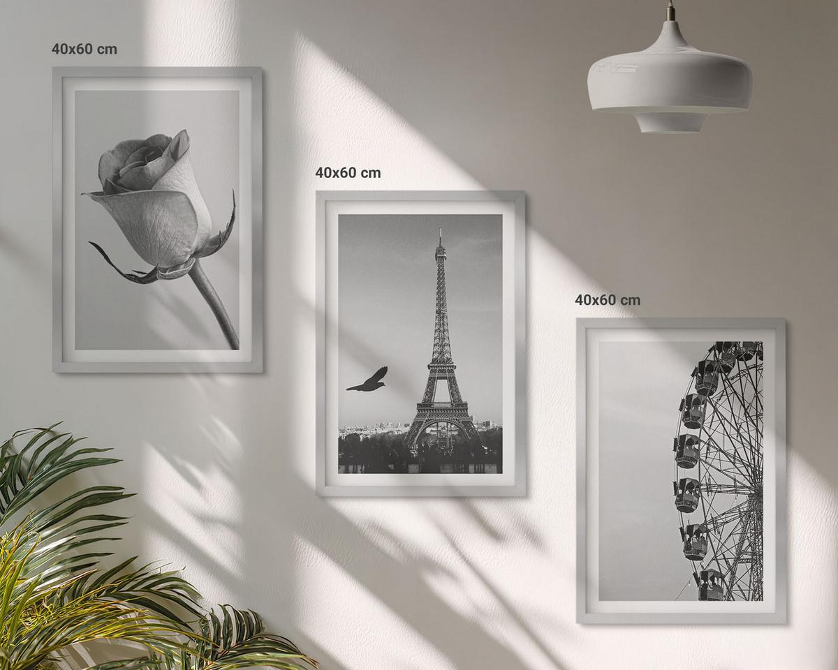 BILDER SET 3er Set - 40x60 cm Silberner Rahmen - Rose Eiffelturm Riesenrad - Silberfarben, Kunststoff (40/60cm) - TULUP
