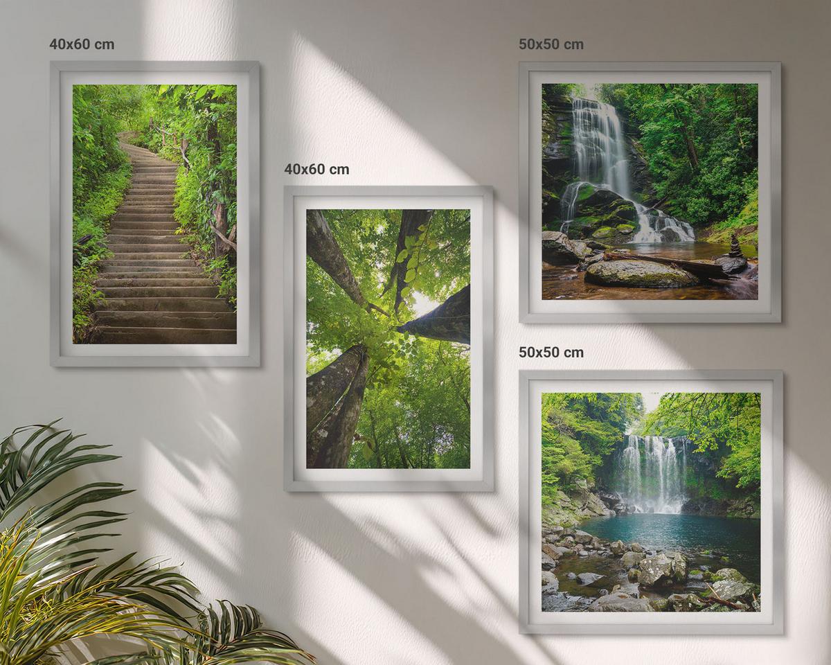BILDER SET 4er Set - 50x50 cm & 40x60 cm Silberner Rahmen - Pfad Wald Wasserfall Vegetation - Silberfarben, Kunststoff (50/50cm) - TULUP