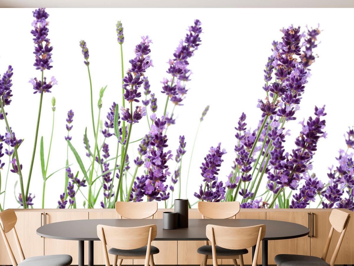 FOTOTAPETE für Küche Lavendelblüten Weißer Hintergrund 100x70 - Violett/Lila, Papier (100/70cm) - Muralo