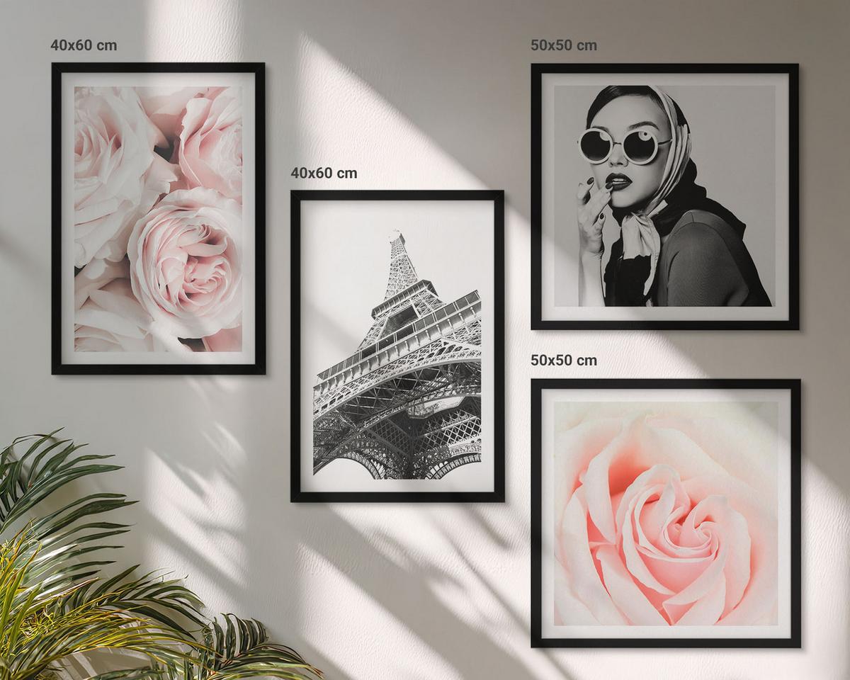 BILDER SET 4er Set - 50x50 cm & 40x60 cm Schwarzer Rahmen - Eiffels Porträt einer Frau mit Rosen - Schwarz, Kunststoff (50/50cm) - TULUP