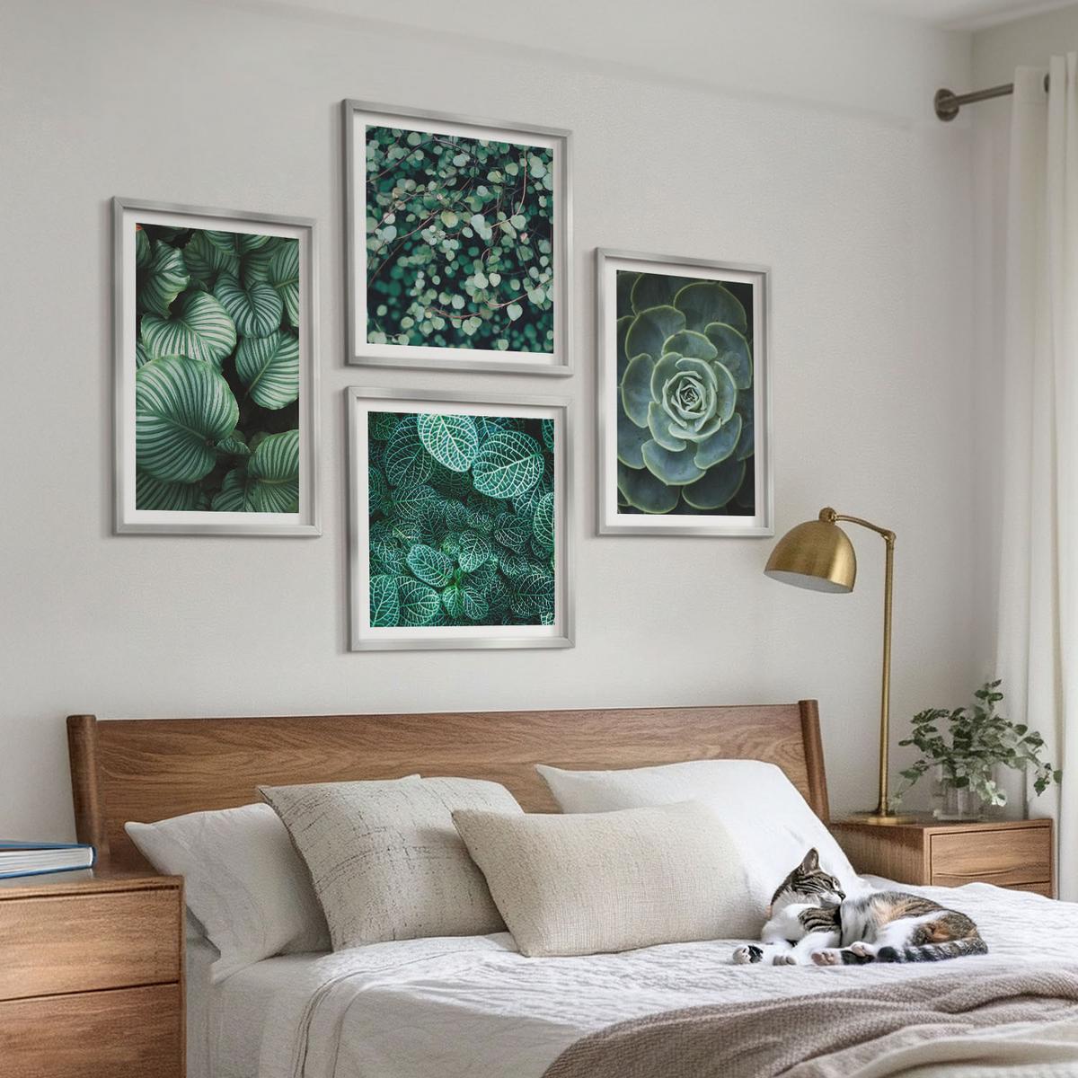 BILDER SET 4er Set - 50x50 cm & 40x60 cm Silberner Rahmen - Grüne Blätter von eleganten Sukkulenten - Silberfarben, Kunststoff (50/50cm) - TULUP