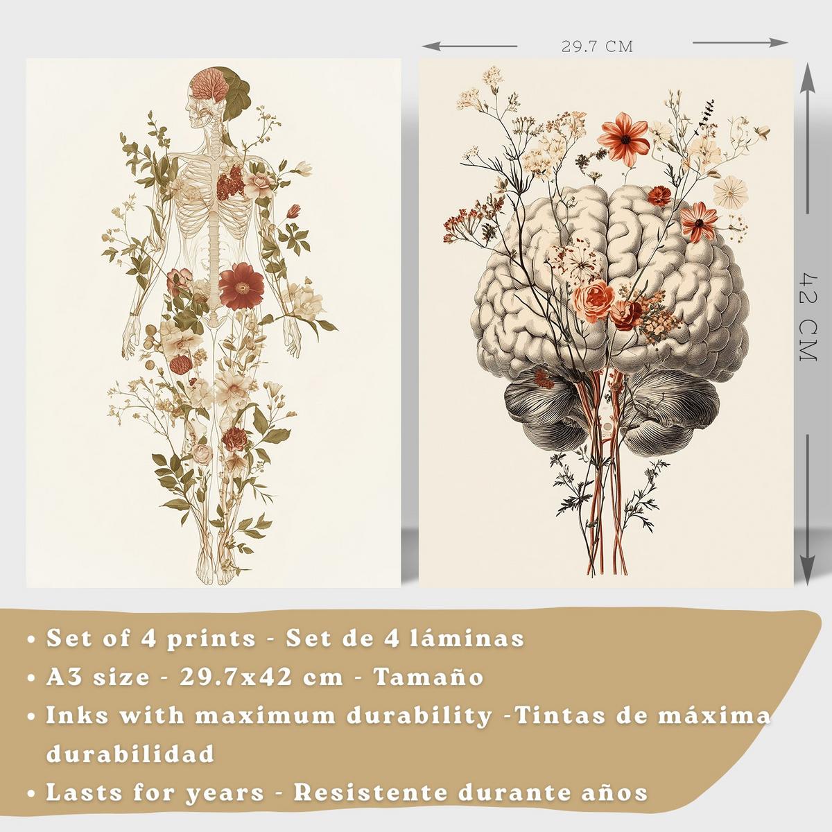POSTER Set aus 4 Anatomie Mensch Dekorative Drucke und Wandbilder mit Blumen Ganzkörper Gehirn Hand und Herz Stil Größe Weißer Rahmen A3 - Weiß, Papier (29.7/42/3cm) - Nacnic