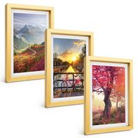 BILDER SET 3er Set - 20x30 cm Goldrahmen - Berglandschaften mit dem Fahrrad - Goldfarben, Kunststoff (20/30cm) - TULUP