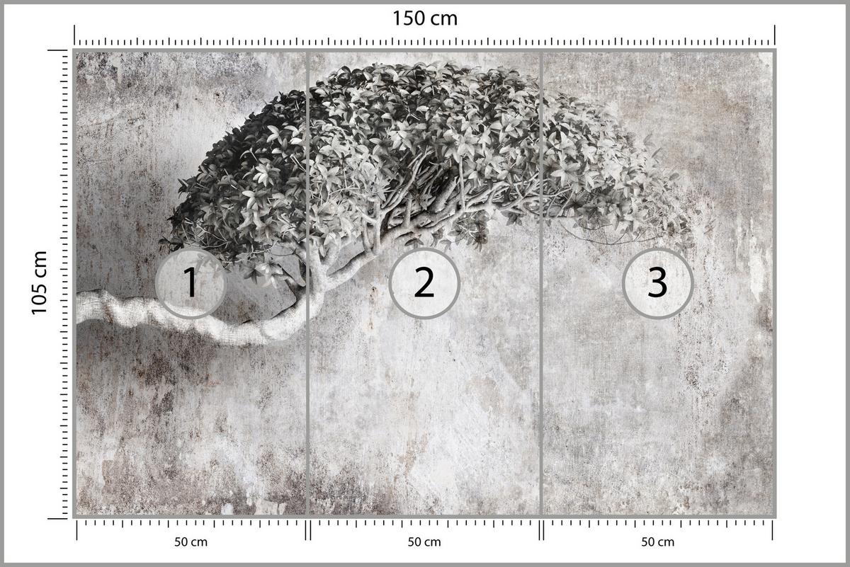 FOTOTAPETE Abstrakter Baum Beton 3D Effekt 150x105 - Schwarz/Grau, Papier (150/105cm) - Muralo