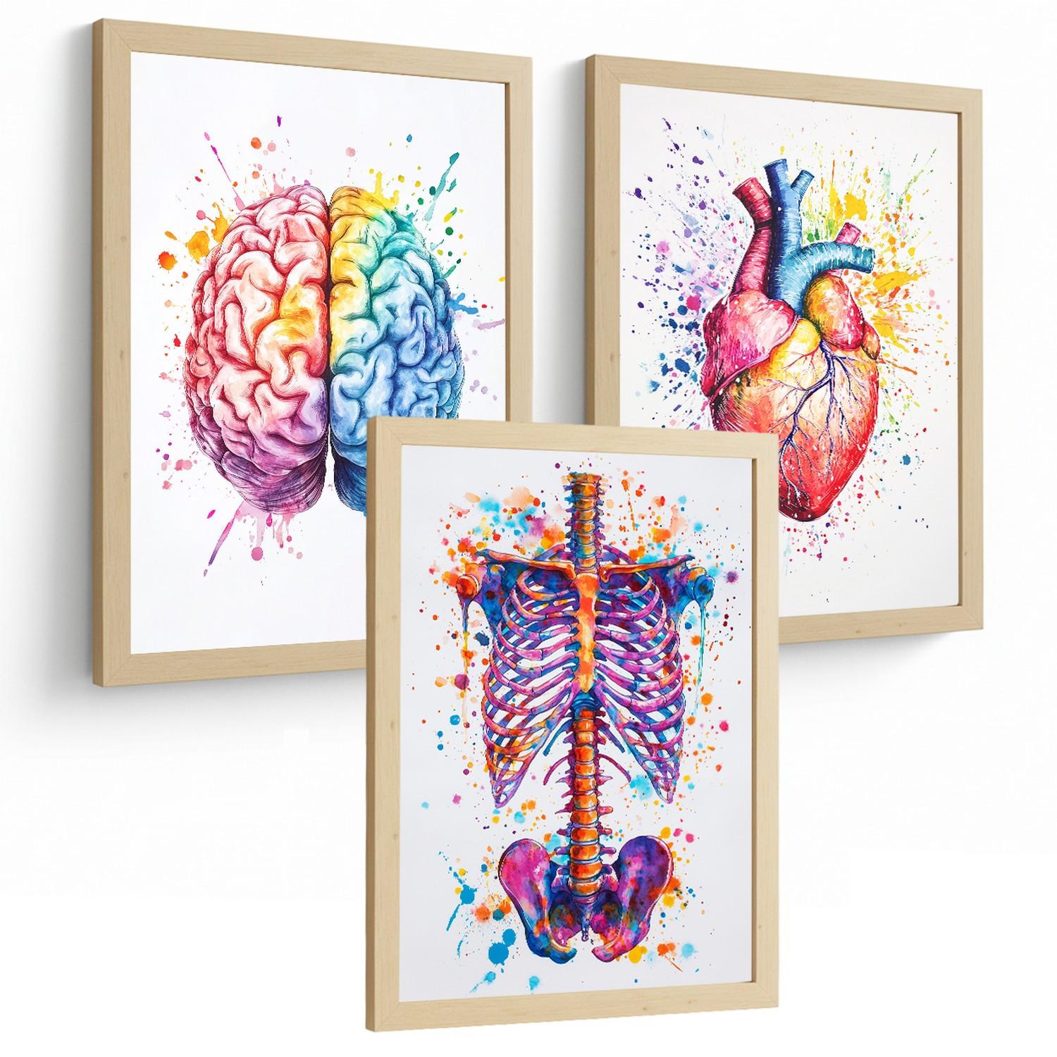 POSTER Set aus 3 Anatomie Mensch Drucke und Wandbilder mit Gehirn Herz Rippen Wirbelsäule Lebendiges Aquarell Design Größe Leichter Holzrahmen A4 - Beige, Papier (21/29.7/3cm) - Nacnic