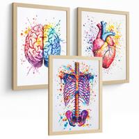 POSTER Set aus 3 Anatomie Mensch Drucke und Wandbilder mit Gehirn Herz Rippen Wirbelsäule Lebendiges Aquarell Design Größe Leichter Holzrahmen A4 - Beige, Papier (21/29.7/3cm) - Nacnic