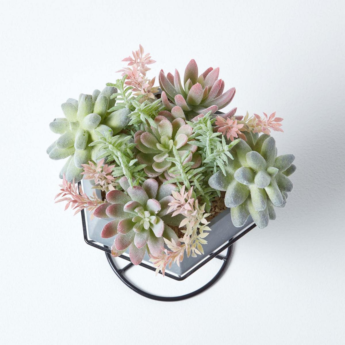KUNSTPFLANZEN Sukkulenten-Arrangement im Deko-Topf, 31 cm - Grün, Kunststoff (31cm) - Homescapes