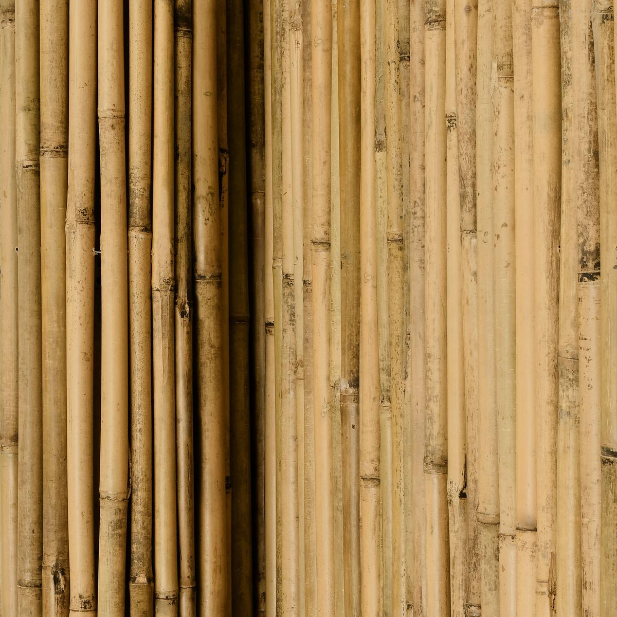 SICHTSCHUTZZAUN SolVision B38 90/250 cm Bambus - Naturfarben, Kunststoff (250/90cm) - Sol Royal