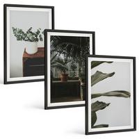 BILDER SET 3er Set - 40x60 cm Schwarzer Rahmen - Rustikale Topfpflanzen - Schwarz, Kunststoff (40/60cm) - TULUP