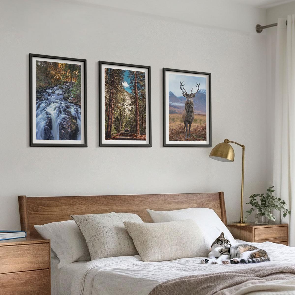 BILDER SET 3er Set - 40x60 cm Schwarzer Rahmen - Wasserfall Wald Berge Hirsch Natur - Schwarz, Kunststoff (40/60cm) - TULUP