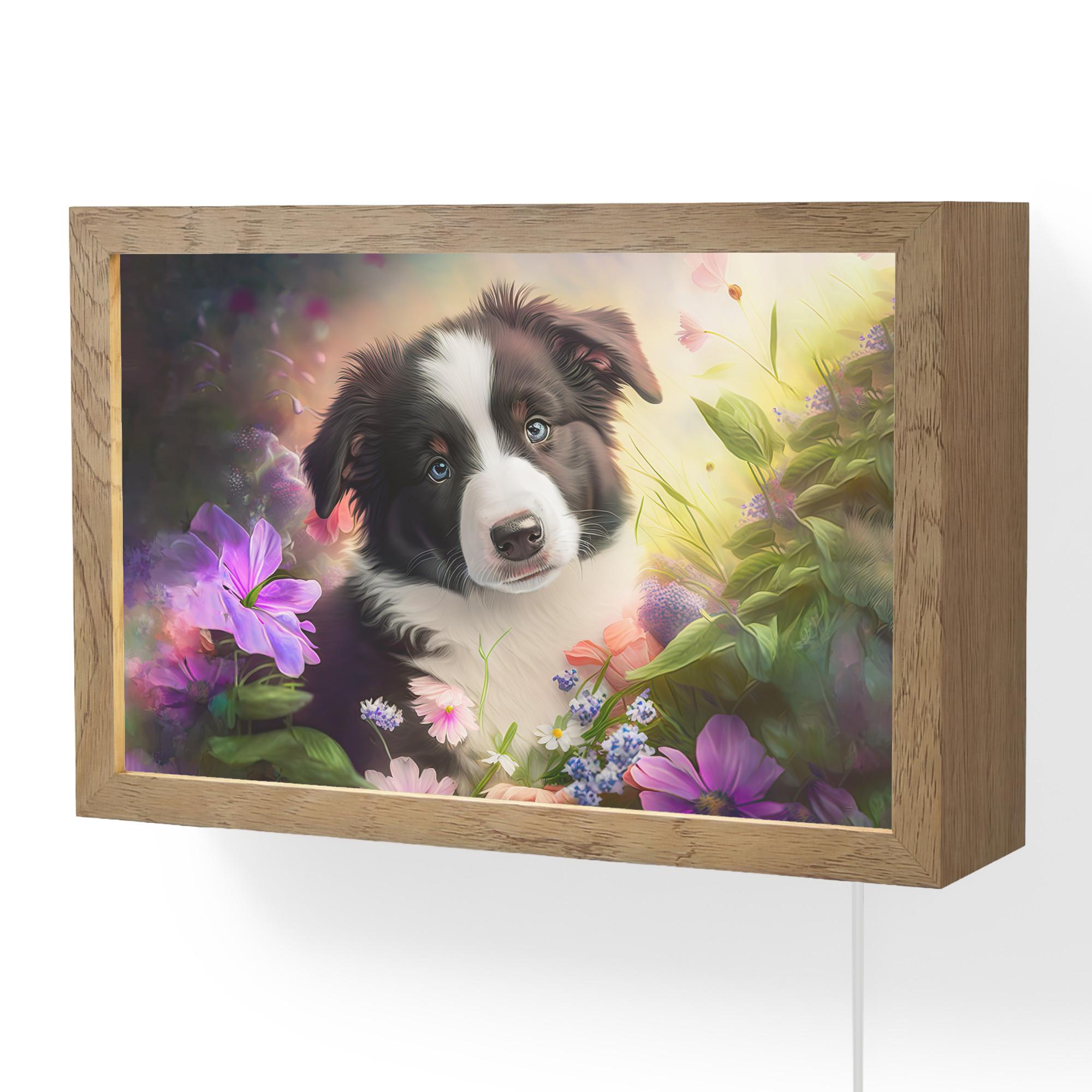 WANDLEUCHTE Welpe - Sonne - Blumen - Natur - Border Collie - Hund 30x20 cm - Violett, Holzwerkstoff (30/20/8cm) - OnlyWow