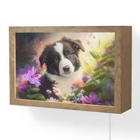 WANDLEUCHTE Welpe - Sonne - Blumen - Natur - Border Collie - Hund 30x20 cm - Violett, Holzwerkstoff (30/20/8cm) - OnlyWow