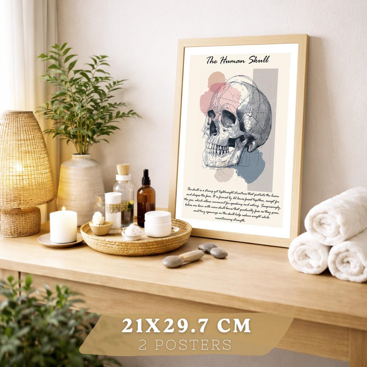 POSTER Set aus 2 Anatomie Mensch Lernposter Drucke und Wandbilder mit Skelett Rippen und Schädel Klinik Büro Dekoration Größe Leichter Holzrahmen A4 - Beige, Papier (21/29.7/3cm) - Nacnic