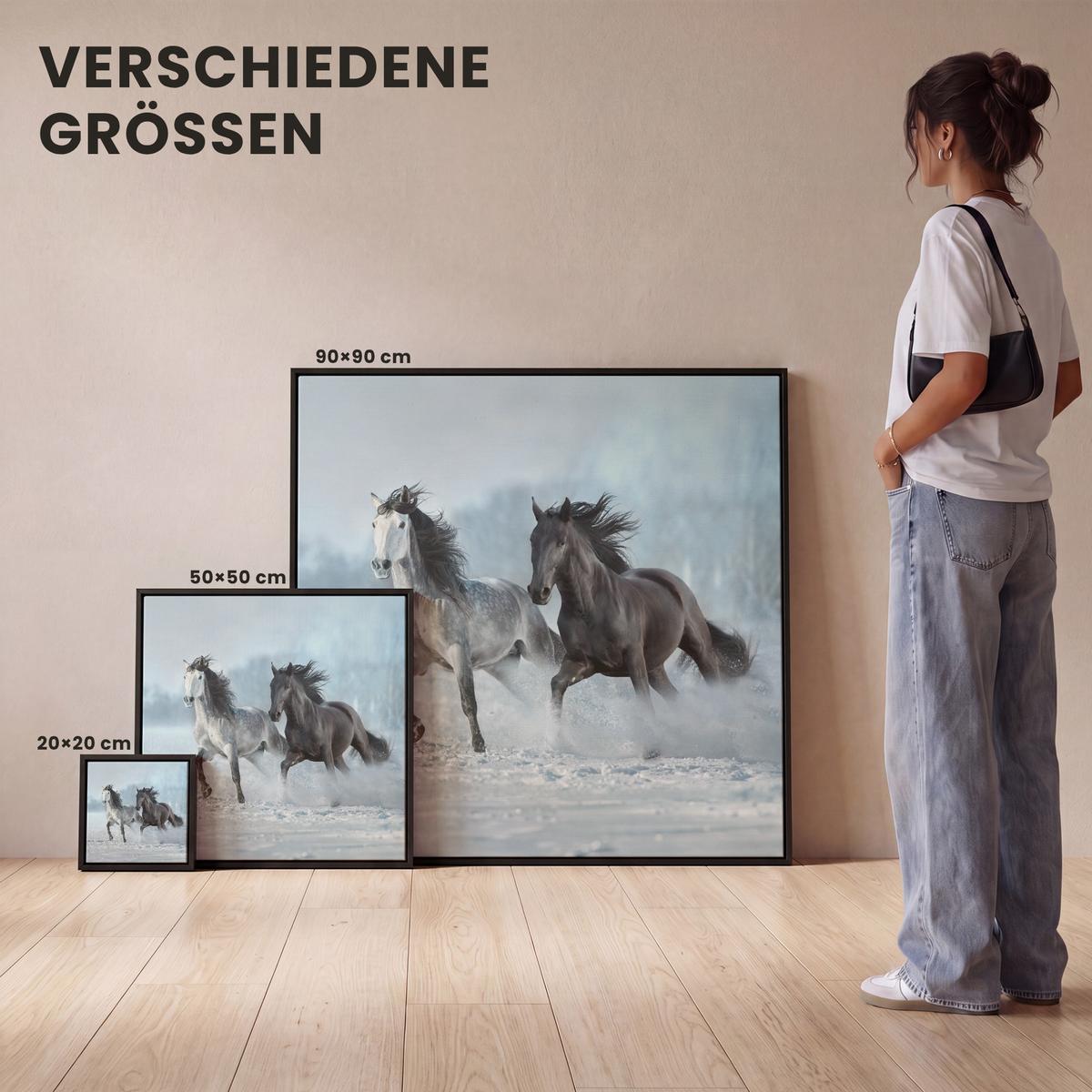 LEINWAND Bilder mit Rahmen - Pferde - Winter - Tiere - Natur - Schnee - 90x90 - Anthrazit, Textil (90/90cm) - MuchoWow