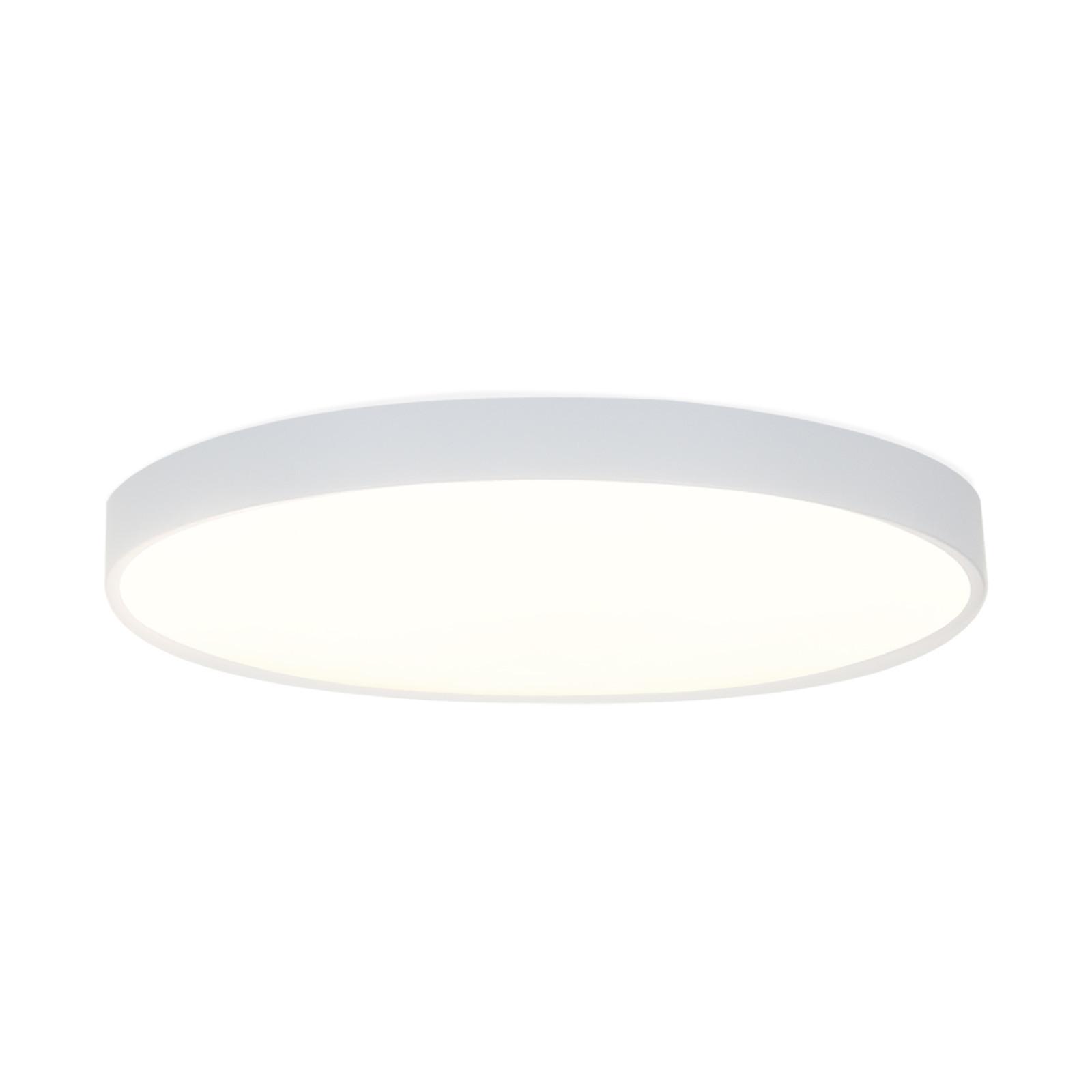 LED DECKENLEUCHTE Williams 37/37/6.5 - Weiß, Kunststoff (37/37/6.5cm) - Nettlife