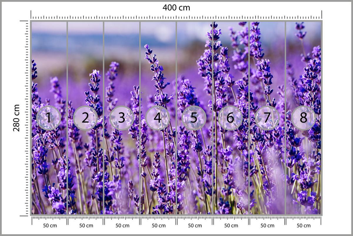 FOTOTAPETE für Schlafzimmer Lavendelfeld Blüten Provence 400x280 - Violett, Papier (400/280cm) - Muralo