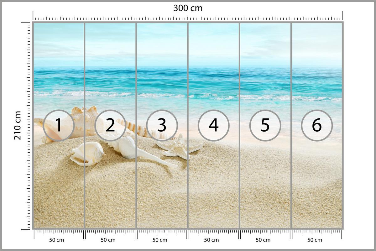 FOTOTAPETE für Badezimmer Muscheln Strand Sand Wellen Meer 300x210 - Beige/Weiß, Papier (300/210cm) - Muralo