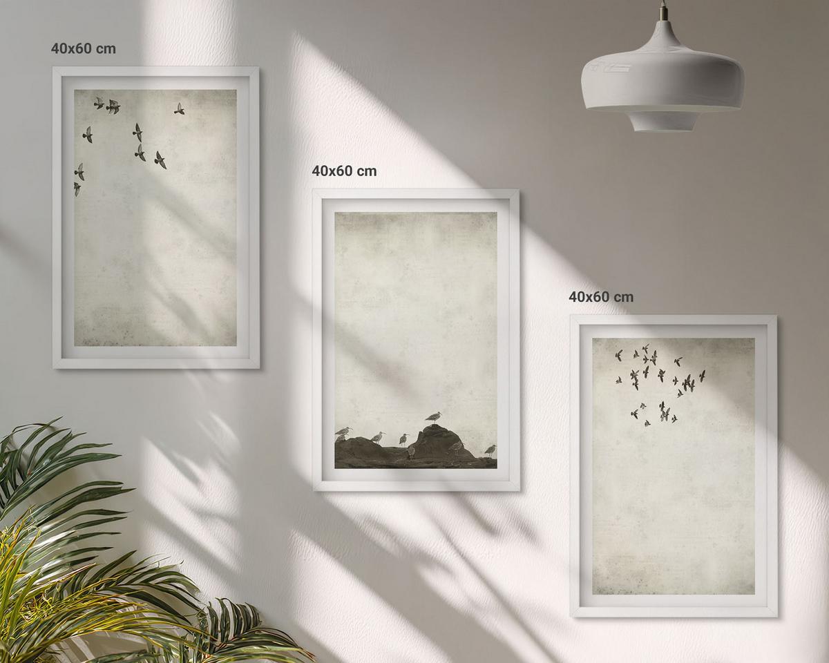 BILDER SET 3er Set - 40x60 cm Weißer Rahmen - Fliegende Vögel Minimalismus - Weiß, Kunststoff (40/60cm) - TULUP