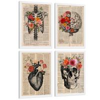 POSTER Set aus 4 Vintage Anatomie Drucke und Wandbilder mit Herz Schädel Skelett und Gehirn Collage Stil Wanddekoration Größe Weißer Rahmen A4 - Weiß, Papier (21/29.7/3cm) - Nacnic