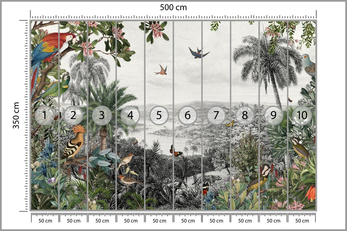 FOTOTAPETE für Wohnzimmer Tropenpapageien Vögel Palmen 500x350 - Gelb/Rot, Papier (500/350cm) - Muralo