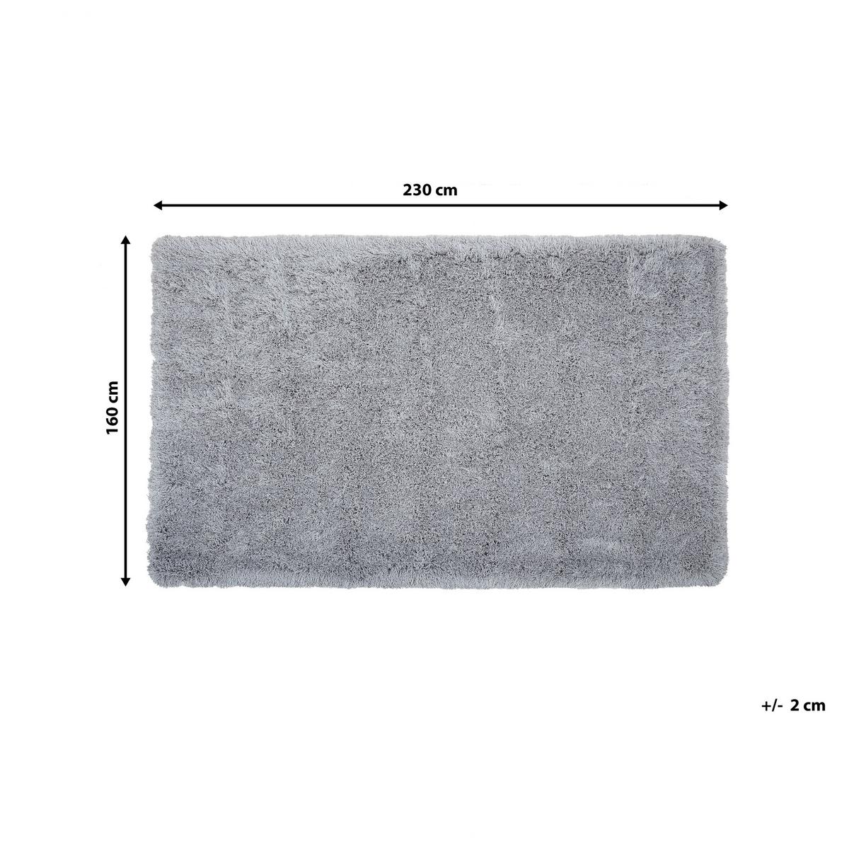 SHAGGY-TEPPICH Cide 230/160 cm - Grau, Kunststoff (160/230cm) - Beliani