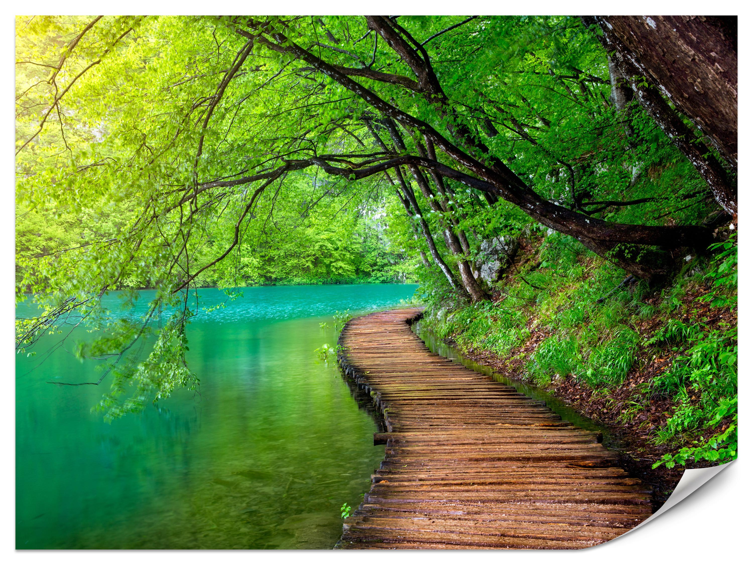 FOTOTAPETE für Wohnzimmer Holzsteg See Bäume Pflanzen Natur 250x175 - Türkis/Braun, Papier (250/175cm) - Muralo