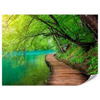 FOTOTAPETE für Wohnzimmer Holzsteg See Bäume Pflanzen Natur 250x175 - Türkis/Braun, Papier (250/175cm) - Muralo