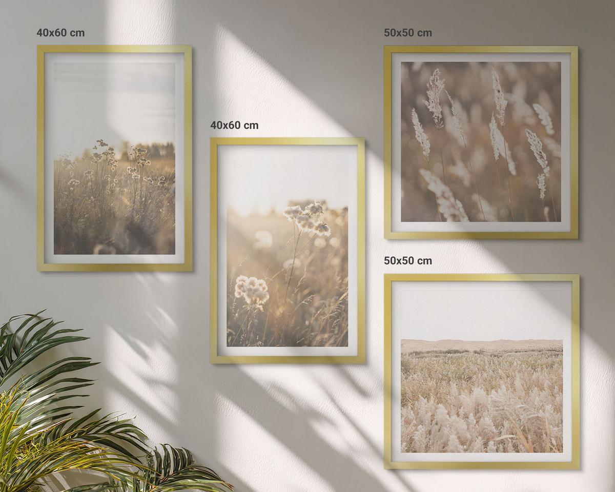 BILDER SET 4er Set - 50x50 cm & 40x60 cm Goldrahmen - Landschaftsgrasblumen Wärme - Goldfarben, Kunststoff (50/50cm) - TULUP