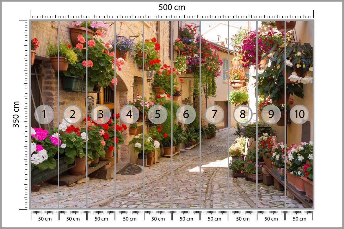 FOTOTAPETE für Wohnzimmer Italienische Steinstraße Blumen Pflanzen 500x350 - Beige/Rot, Papier (500/350cm) - Muralo
