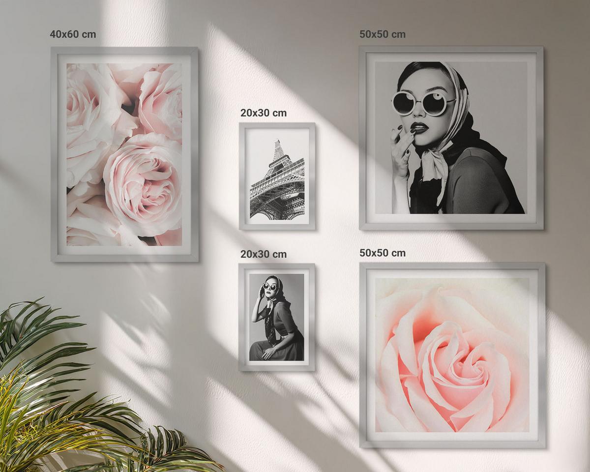 BILDER SET 5er Set - 50x50 cm & 20x30 cm & 40x60 cm Silberner Rahmen - Blumen, Pfingstrosen, Rosen, Eleganz - Silberfarben, Kunststoff (40/60cm) - TULUP
