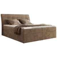 BOXBETT DAGOS 200/200 - Braun Schenille glatt - H4 - Topper T25 - Braun, Textil (200/200cm) - MKS