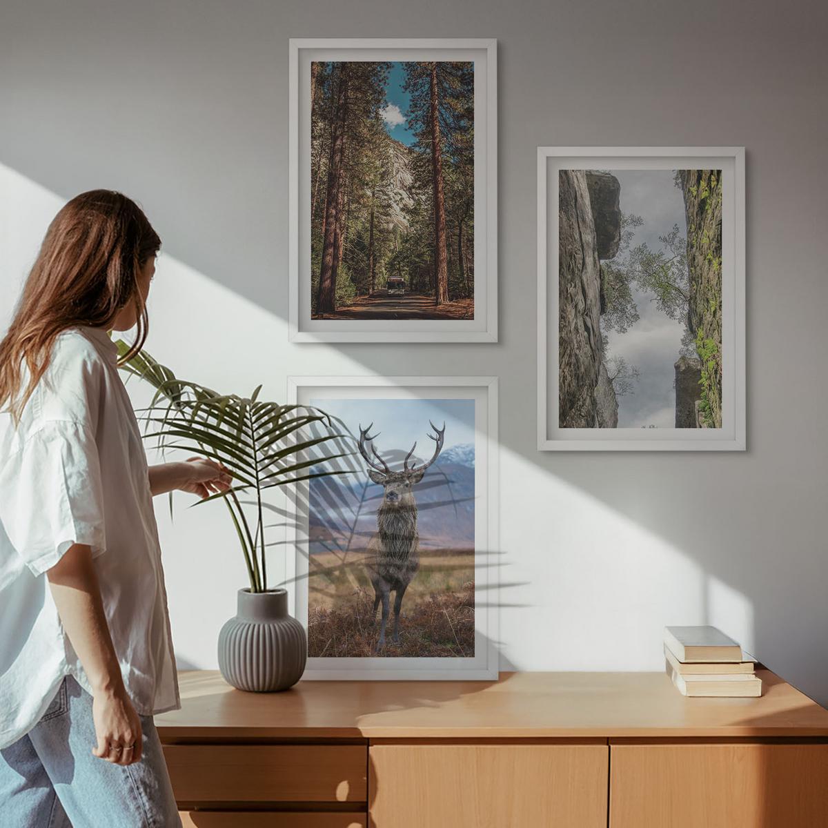 BILDER SET 3er Set - 40x60 cm Weißer Rahmen - Straße Wald Berge Hirsch Natur - Weiß, Kunststoff (40/60cm) - TULUP