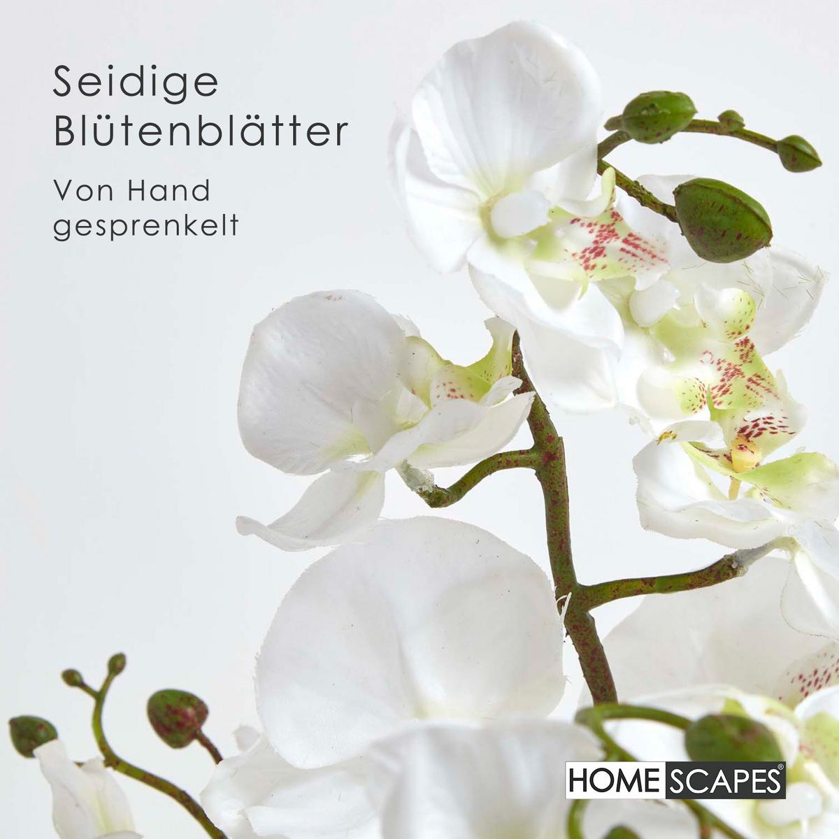 KUNSTBLUME Orchidee weiß mit Moos-Sockel, 60 cm - Weiß, Kunststoff (60cm) - Homescapes