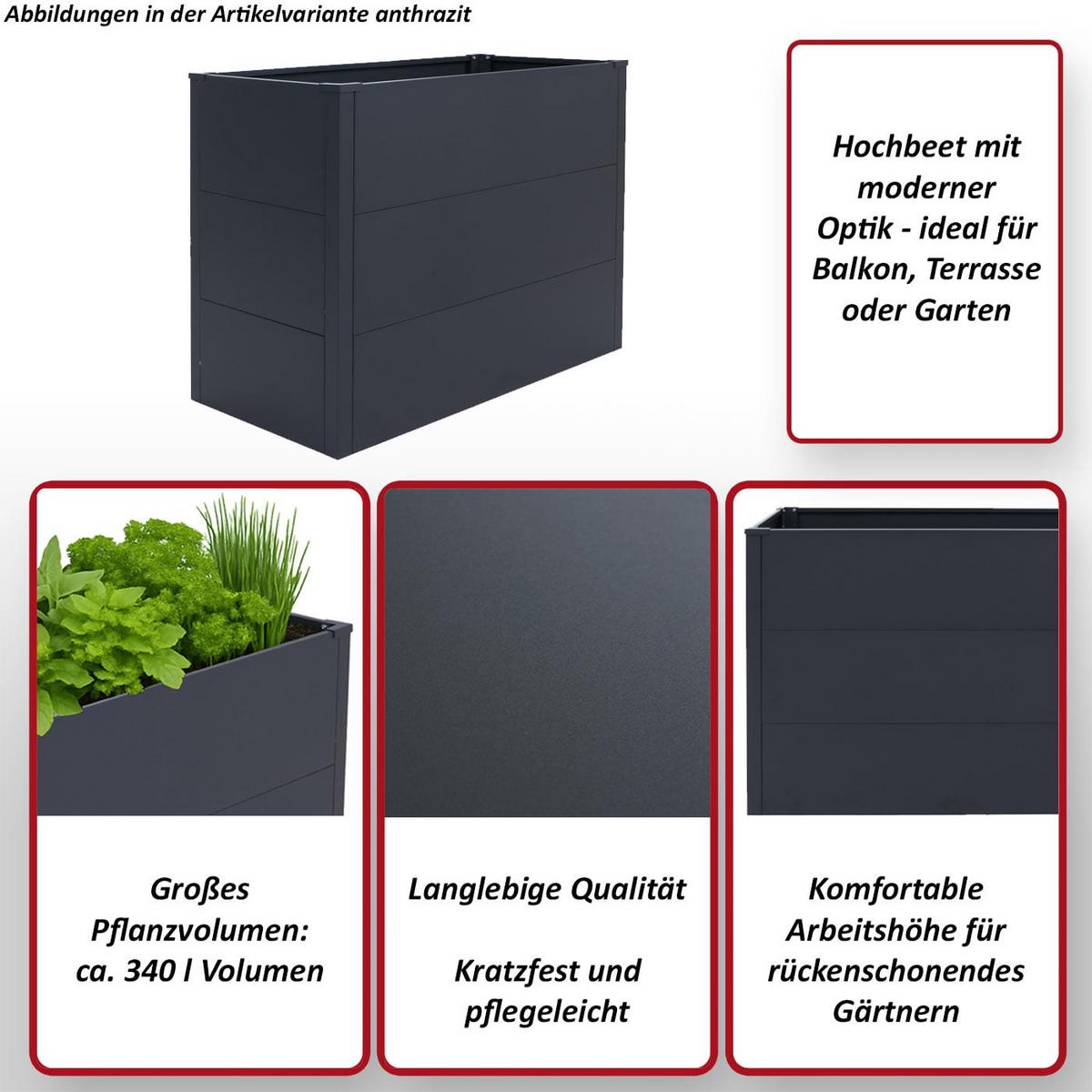 HOCHBEET Grau - Grau, Metall (100/77/50cm) - MCW