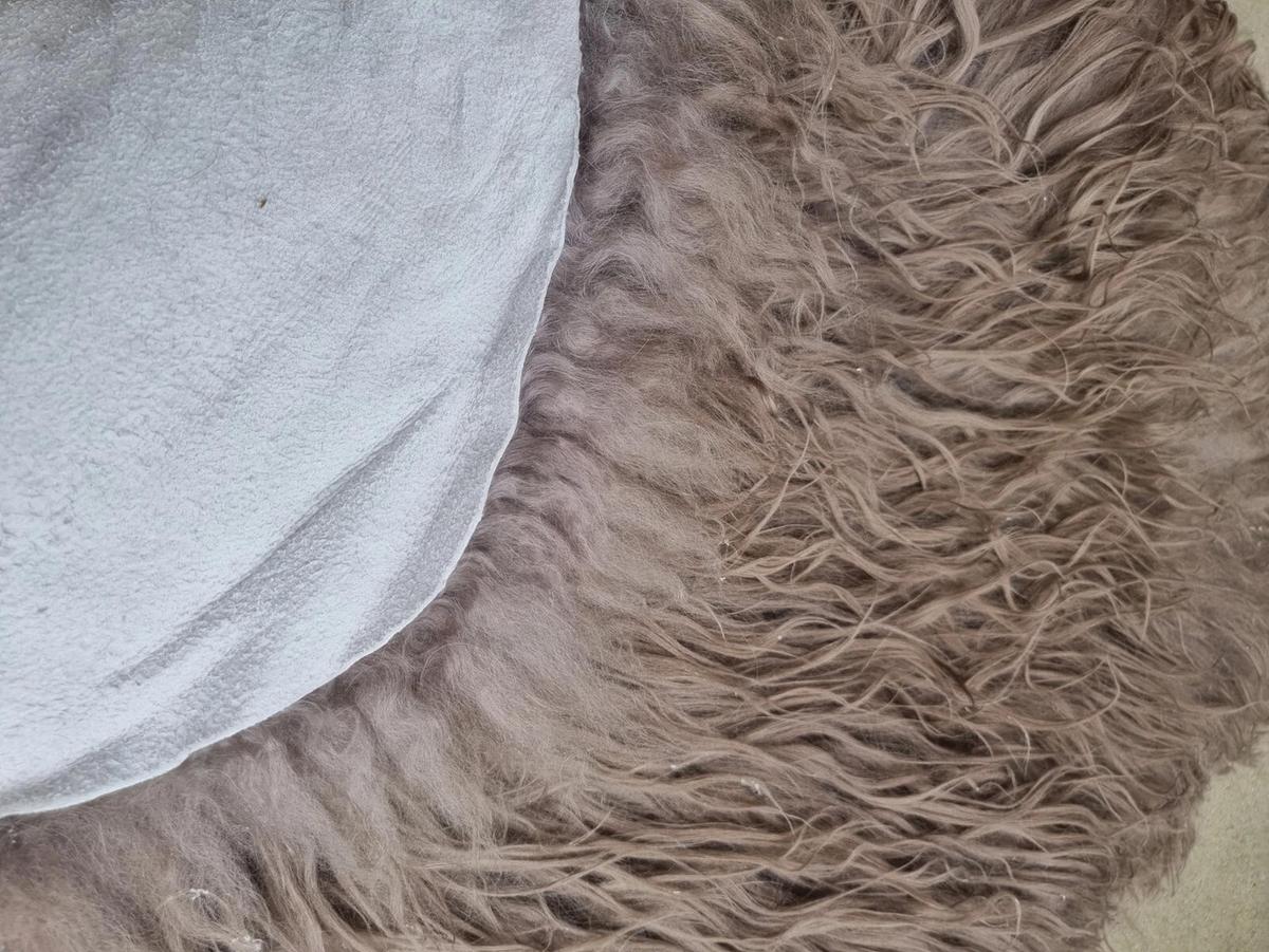 LAMMFELL Island Langhaar natur lockig weich Premium Hell Taupe ca. 105 cm - Taupe, Fell (55/105cm) - Provellus