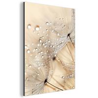 METALLBILD Löwenzahn - Abstrakt - Natur - Beige 30x40 cm - Braun, Metall (30/40cm) - MuchoWow