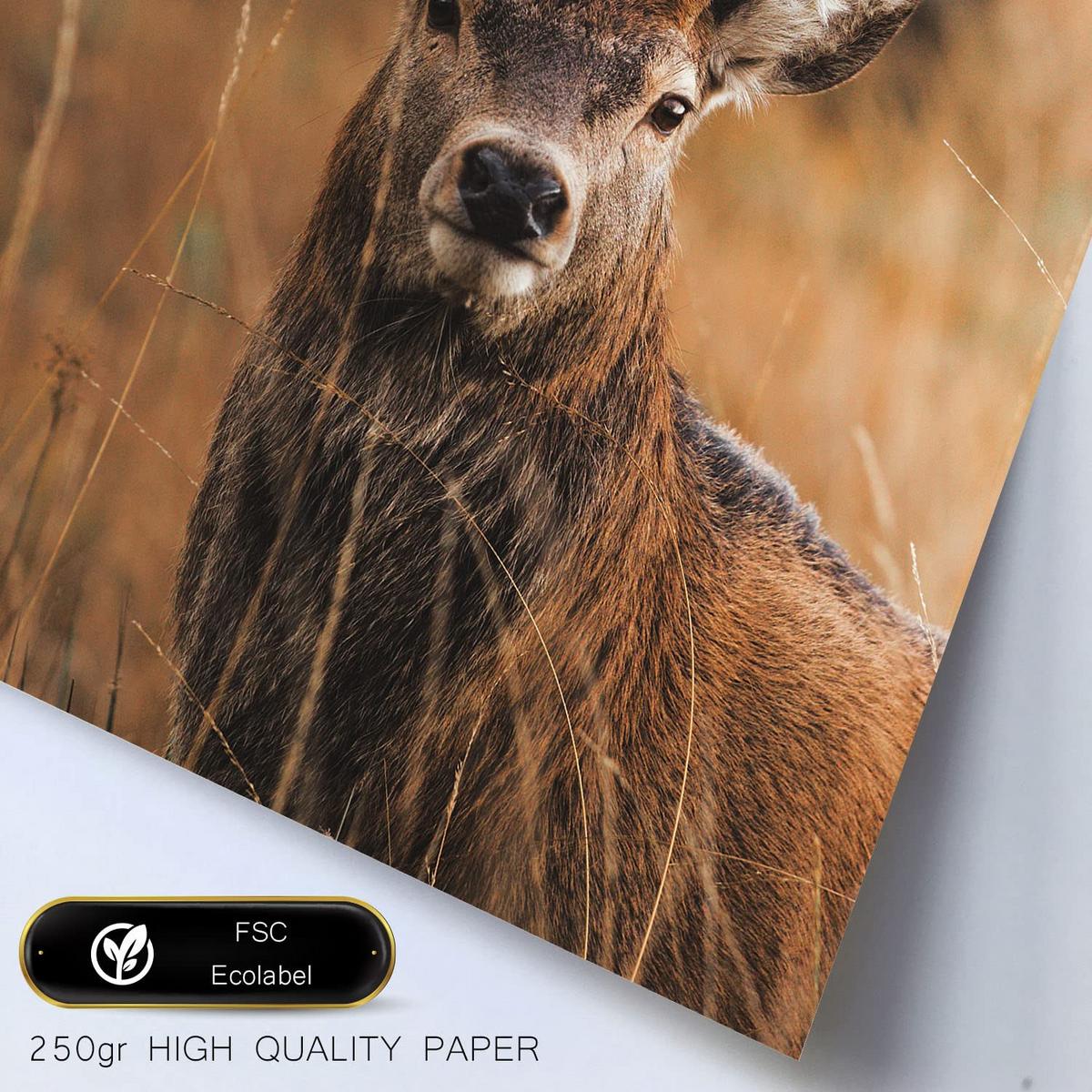 POSTER Set Mit 6 Winter Natur Wandbild A3 & A4 Rahmenlos - Klar, Papier (29/3cm) - Nacnic